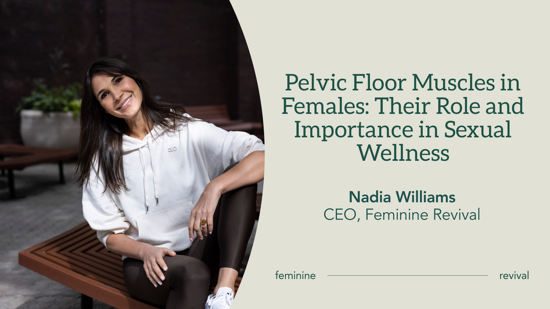 Pelvic Floor Muscles in Females: Their Role and Importance in Sexual Wellness